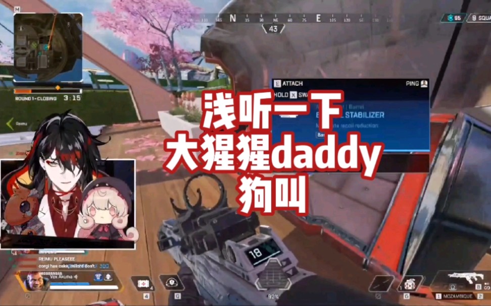 【vox/不用烤】浅听一下大猩猩daddy的稀有狗叫哔哩哔哩bilibili