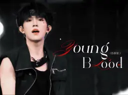 Download Video: 【苏新皓】Youngblood 直拍