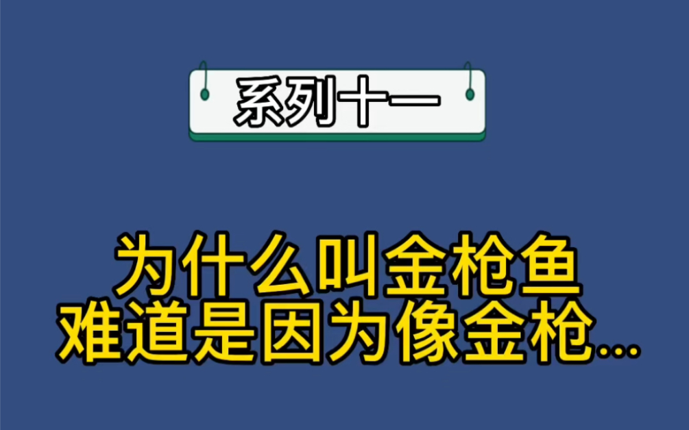 为什么叫金枪鱼?难道是因为像金枪…为你揭晓金枪鱼名字的秘密!金枪鱼 科普哔哩哔哩bilibili