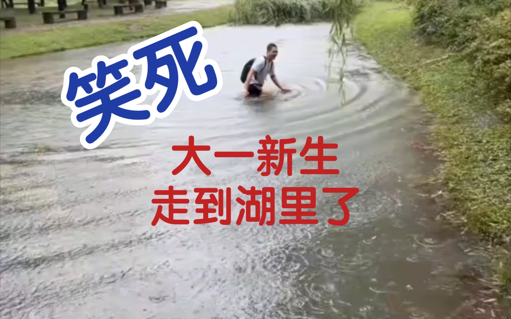 [图]【西电湖人】笑死，大一新生走到湖里了(军训求的雨现在下是吧