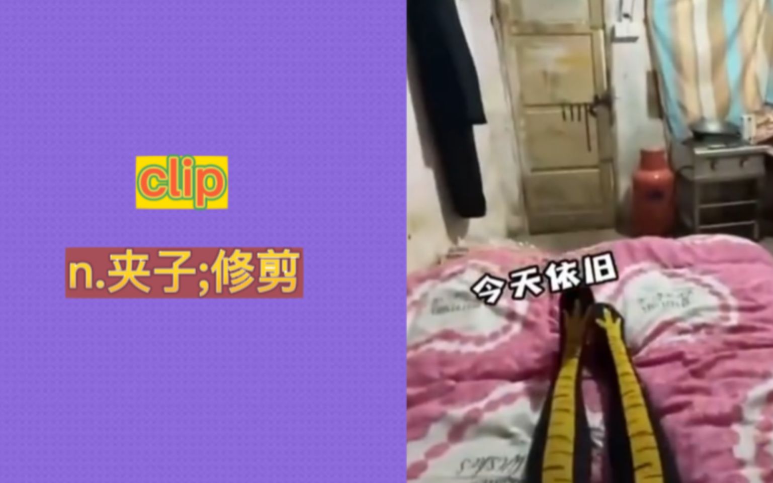 “夹子”哔哩哔哩bilibili