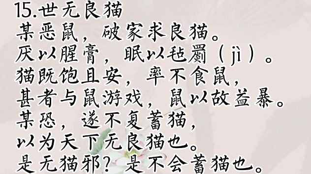 文言文阅读基础篇:15世无良猫哔哩哔哩bilibili