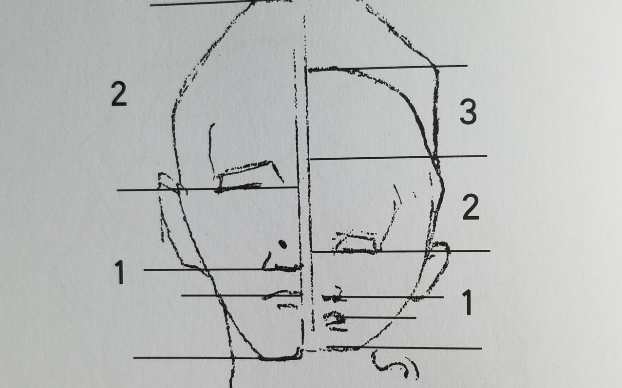 [图]【伯里曼人体结构】14.P100-106 头部比例分割+儿童的头部+面部肌肉+表情