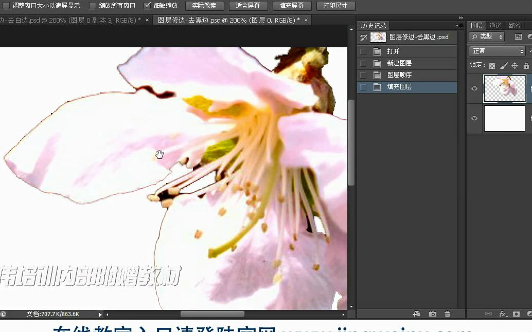 photoshop cs6专业制作设计教程 掌握部分B0103初阶抠图图层修边知识哔哩哔哩bilibili