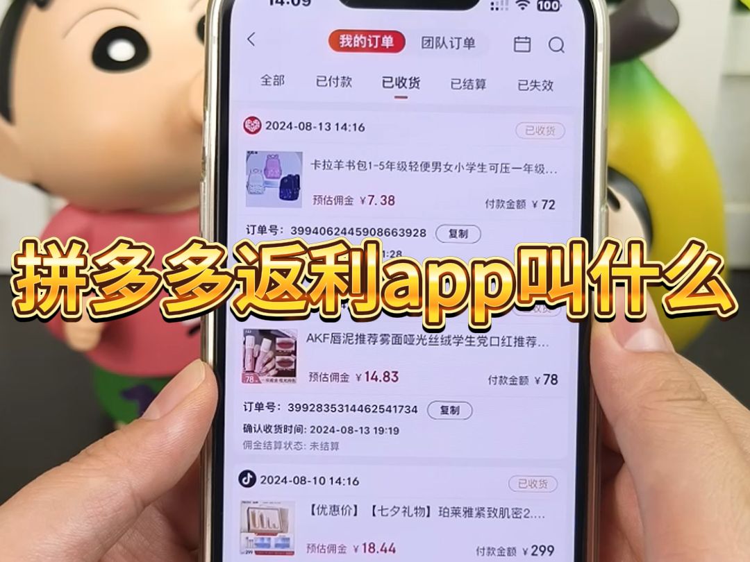 年度总结!拼多多返利app叫什么不踩雷!哔哩哔哩bilibili