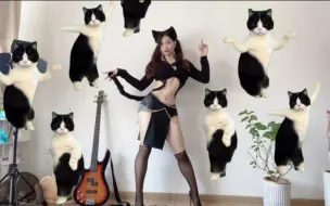 Download Video: 完美复刻奶牛猫印度舞！新年招财猫猫到啦