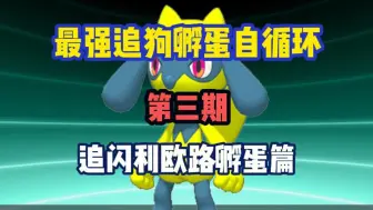 下载视频: 再见岩屋，最强的追狗方式诞生了！改变环境的一集【pokemmo】