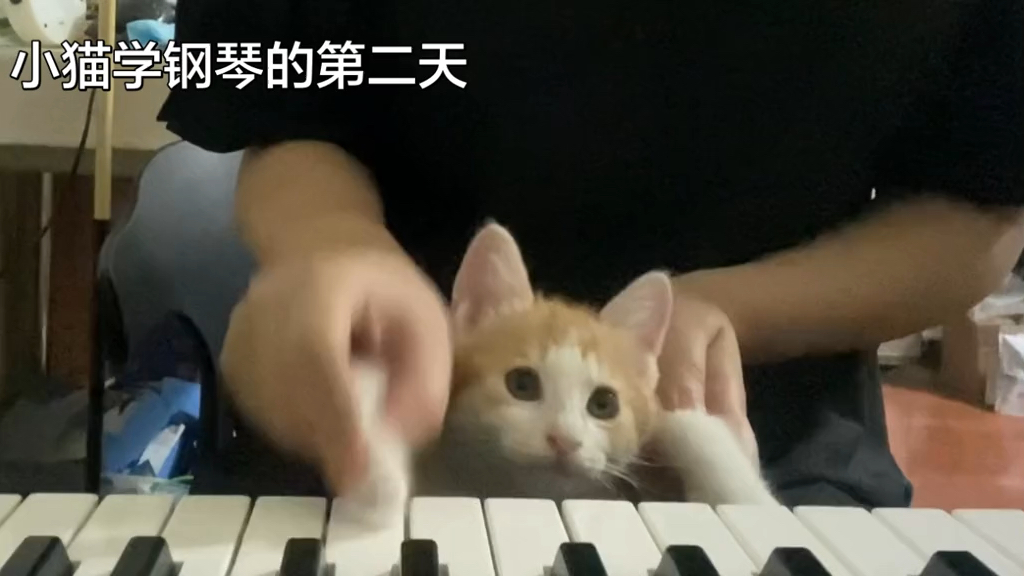 肖邦的妹妹 肖茂咪弹奏《兰亭序》