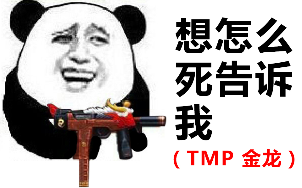 [图]【CSOL】曾经的霸主，TMP-金龙