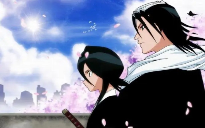 【境界-死神激斗 道场】又是兄妹之战!朽木白哉欺负露琪亚!