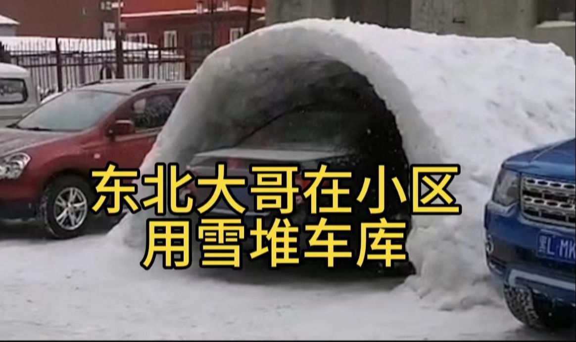 東北大哥在小區用雪堆車庫,網友:硬是鑿出了個一居室