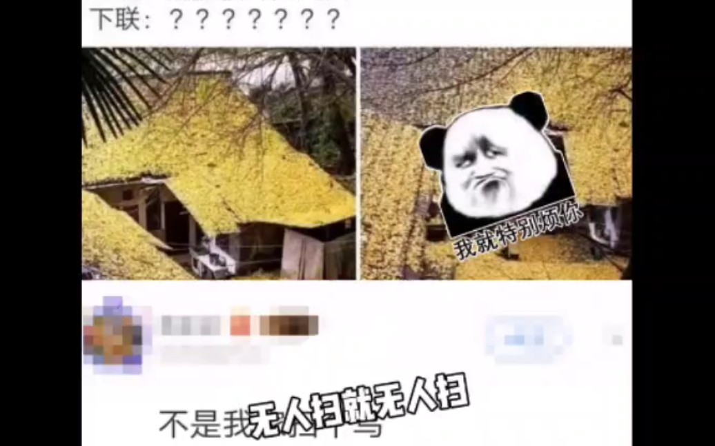 满庭秋叶无人扫,下一句是什么?哔哩哔哩bilibili