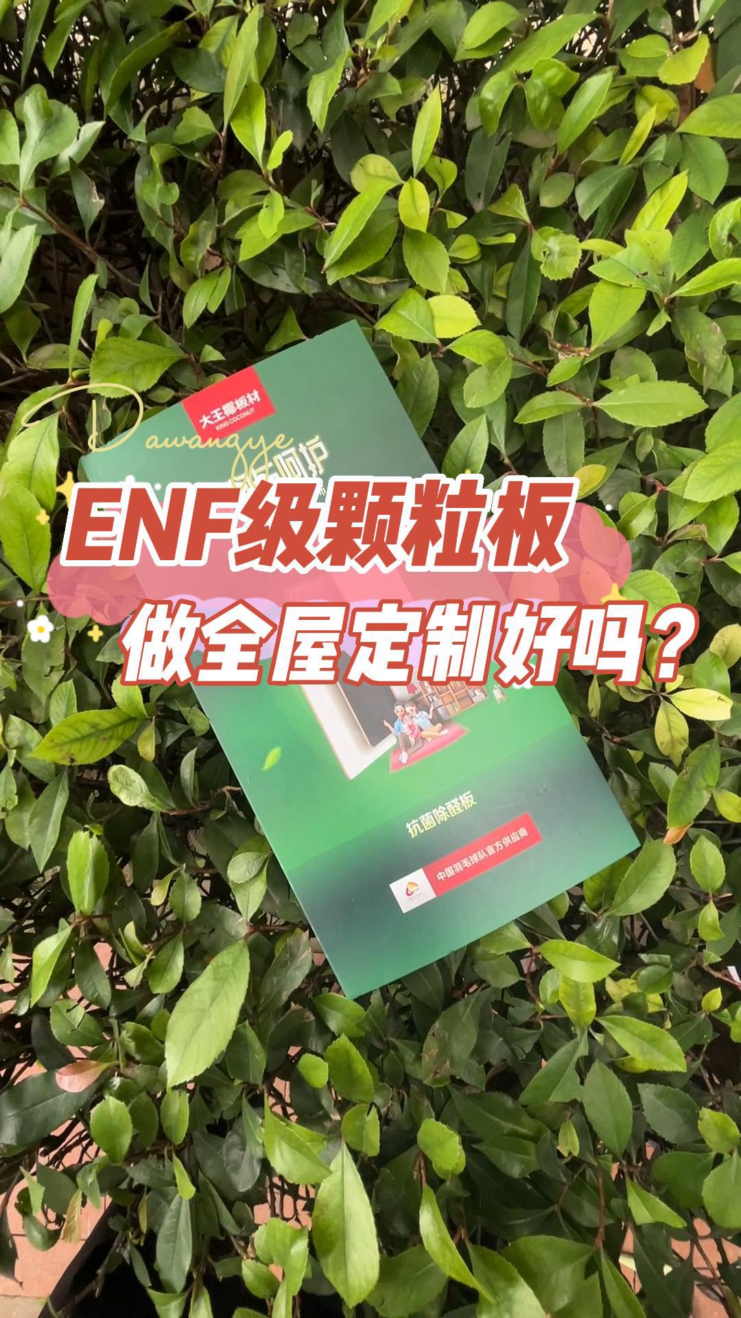 ENF级颗粒板做全屋定制好吗?哔哩哔哩bilibili