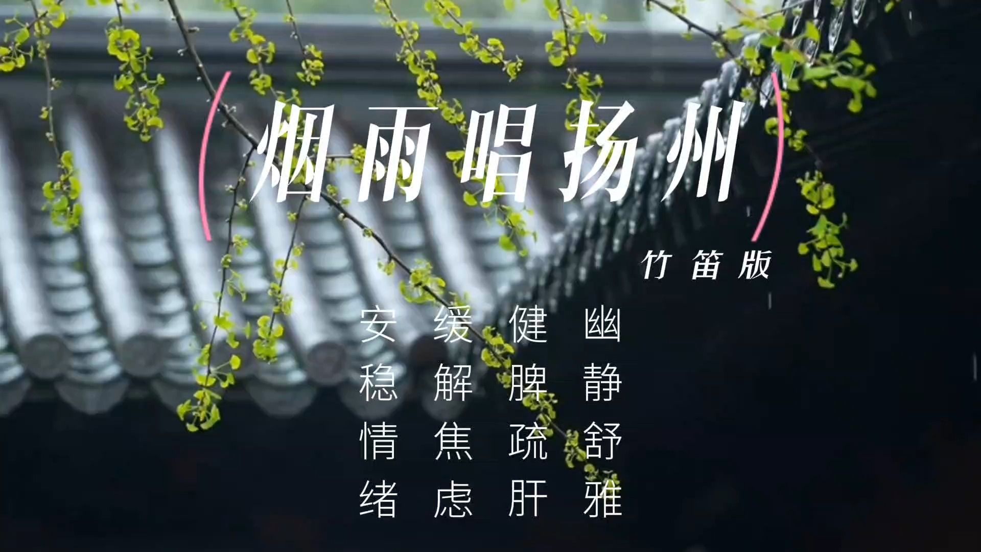【音乐静听】24竹笛纯音《烟雨唱扬州》幽静舒雅,健脾疏肝,缓解焦虑