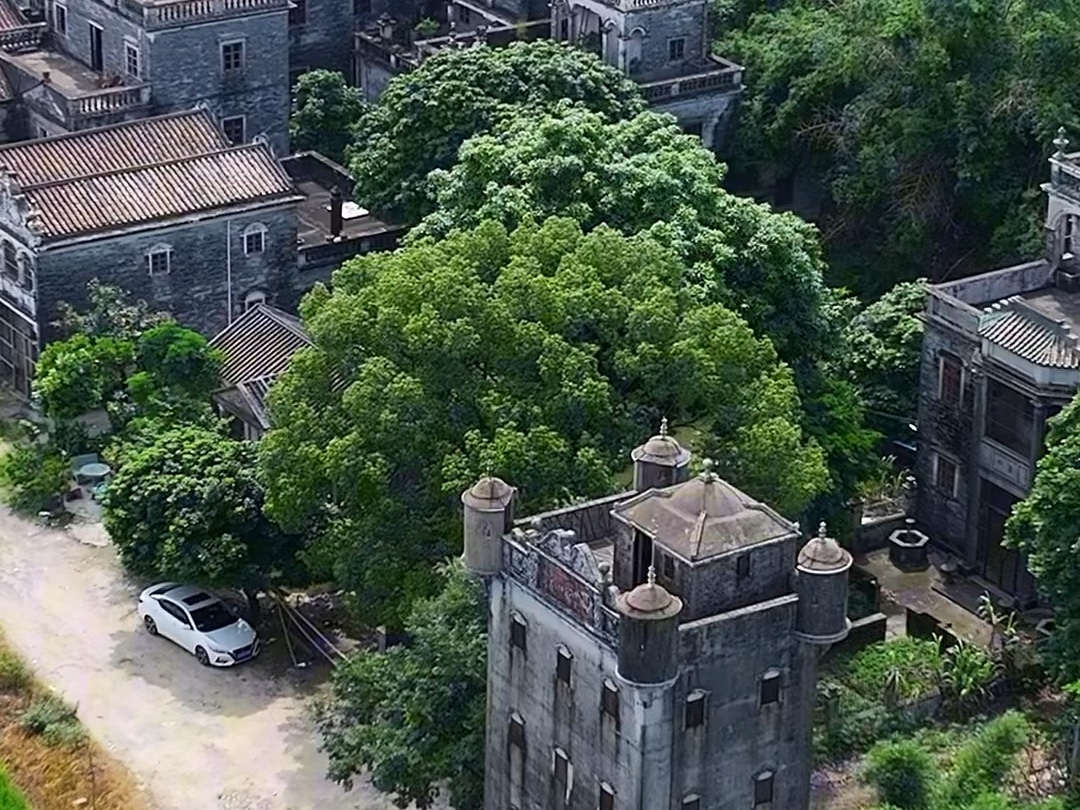 这里以外国国名命名的村,这里是广东开平加拿大村,你来过吗?#加拿大村