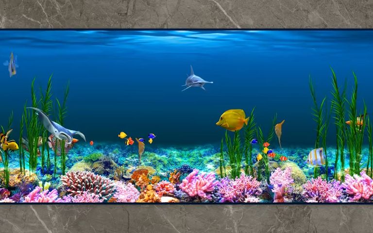 4k裸眼鱼缸沉浸式海洋馆水族馆视频素材 闹市区网红打卡裸眼3d数字