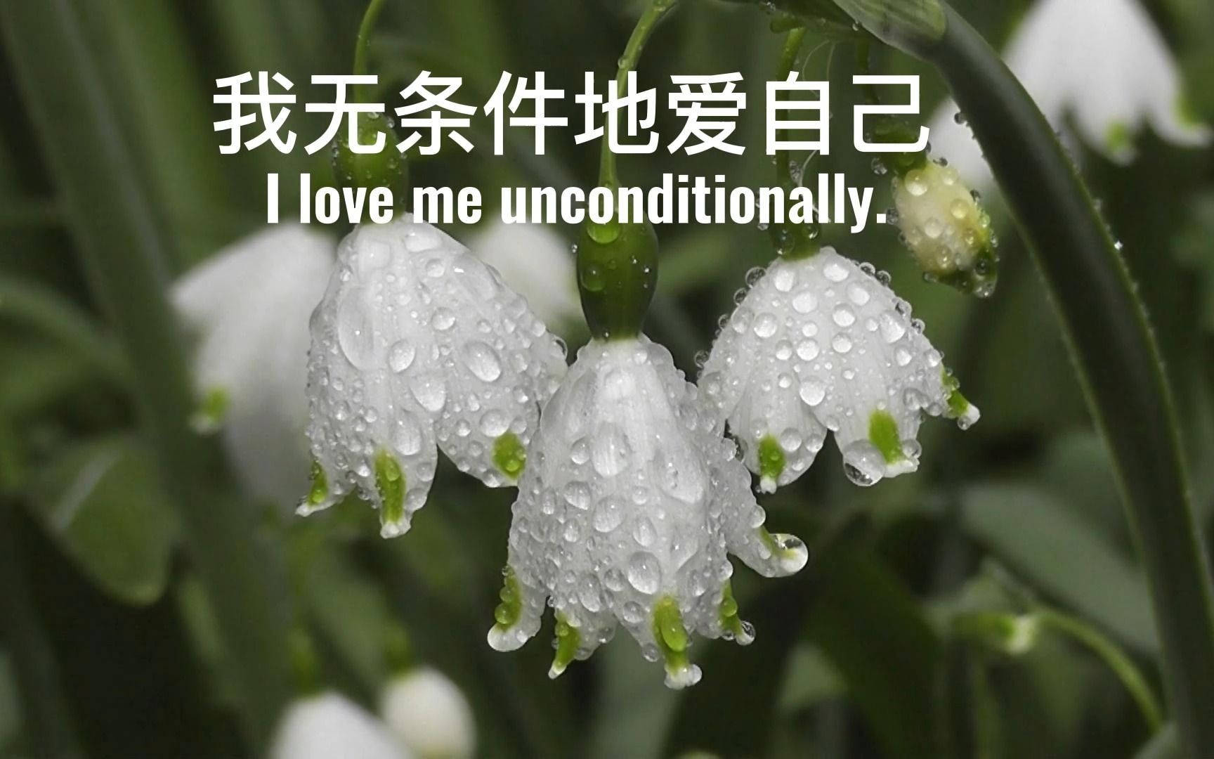 我无条件地爱自己 i love me unconditionally