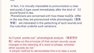 phonemes 音位,语言学概论哔哩哔哩bilibili