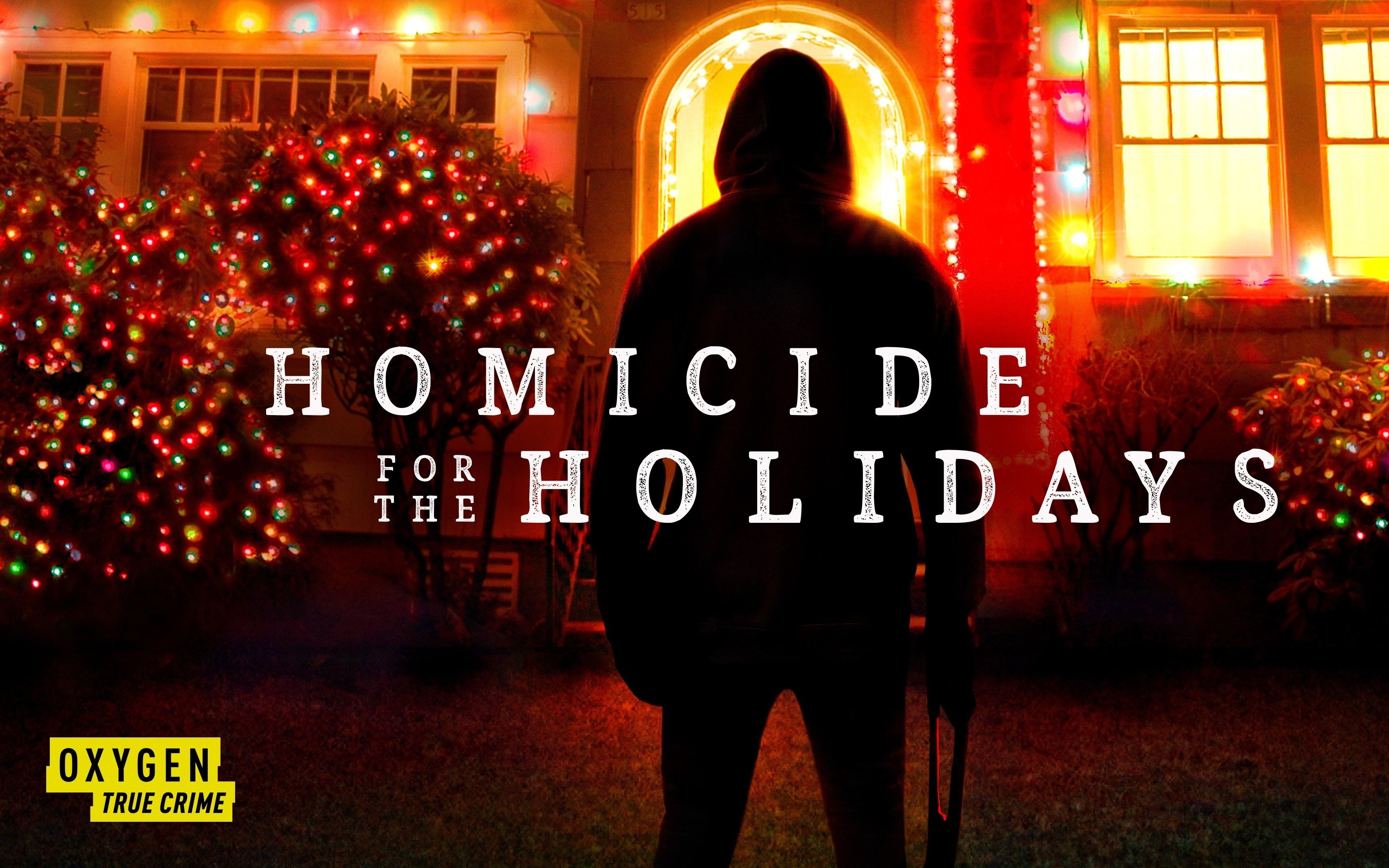 [图]假日凶杀案 第一季全四集 Homicide for the Holidays