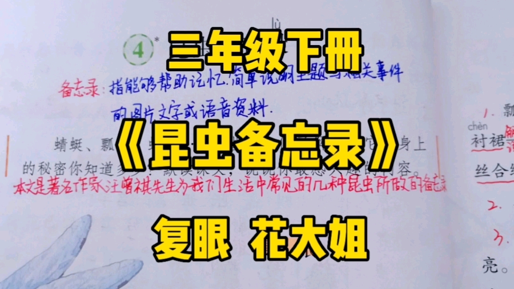 [图]三年级语文下册：《昆虫备忘录》之复眼与花大姐，了解什么是备忘录？发现昆虫身上的秘密！