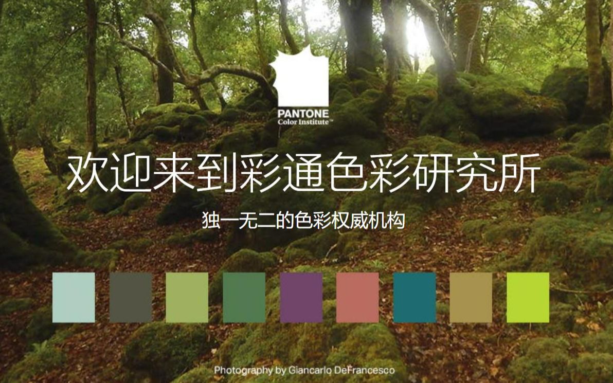 Pantone 彩通色彩研究所究竟是一个什么样的组织?哔哩哔哩bilibili