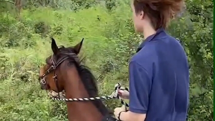 [图]这还是我们大小姐甜心吗？这完全就是大少爷陈智霆，这骑马姿势真帅，这骑的是什么马？哈哈哈哈哈哈