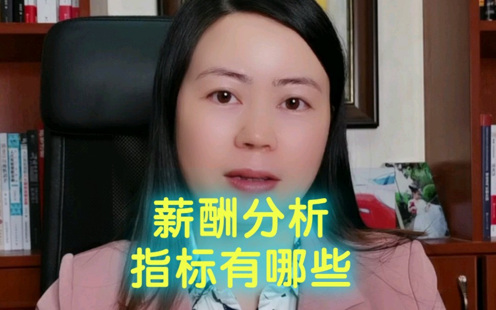 薪酬分析的指标有哪些?哔哩哔哩bilibili