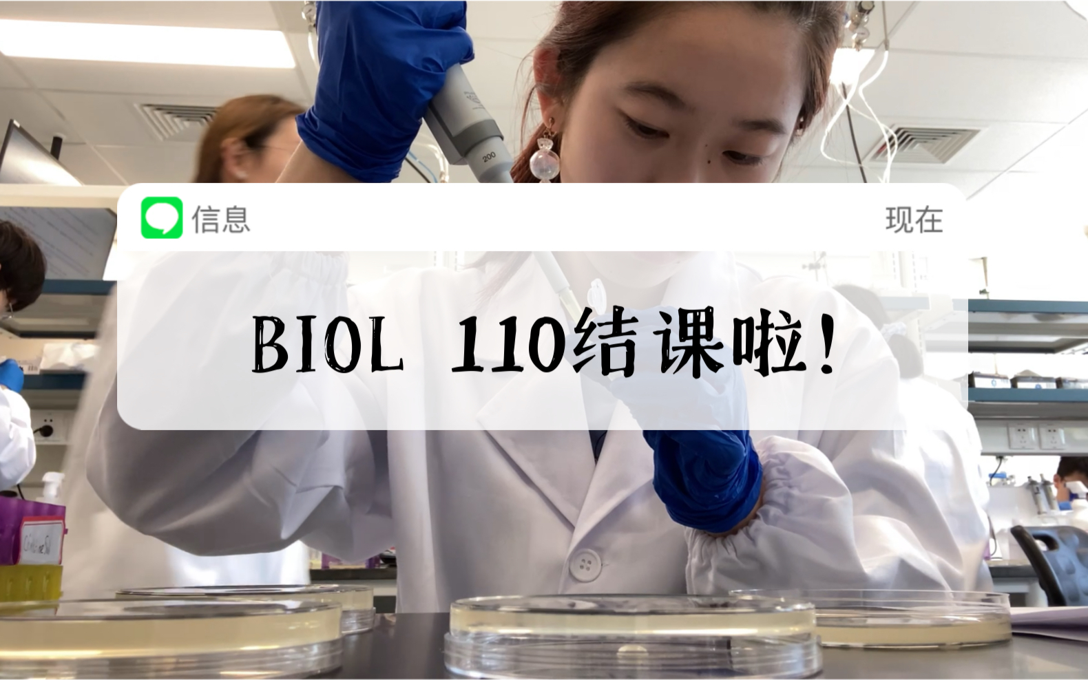 昆山杜克大学|BIOL110最后一次生物实验记录哔哩哔哩bilibili