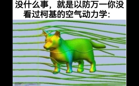 没什么事,就是以防万一你没看过柯基的空气动力学 网络沙雕图集锦哔哩哔哩bilibili