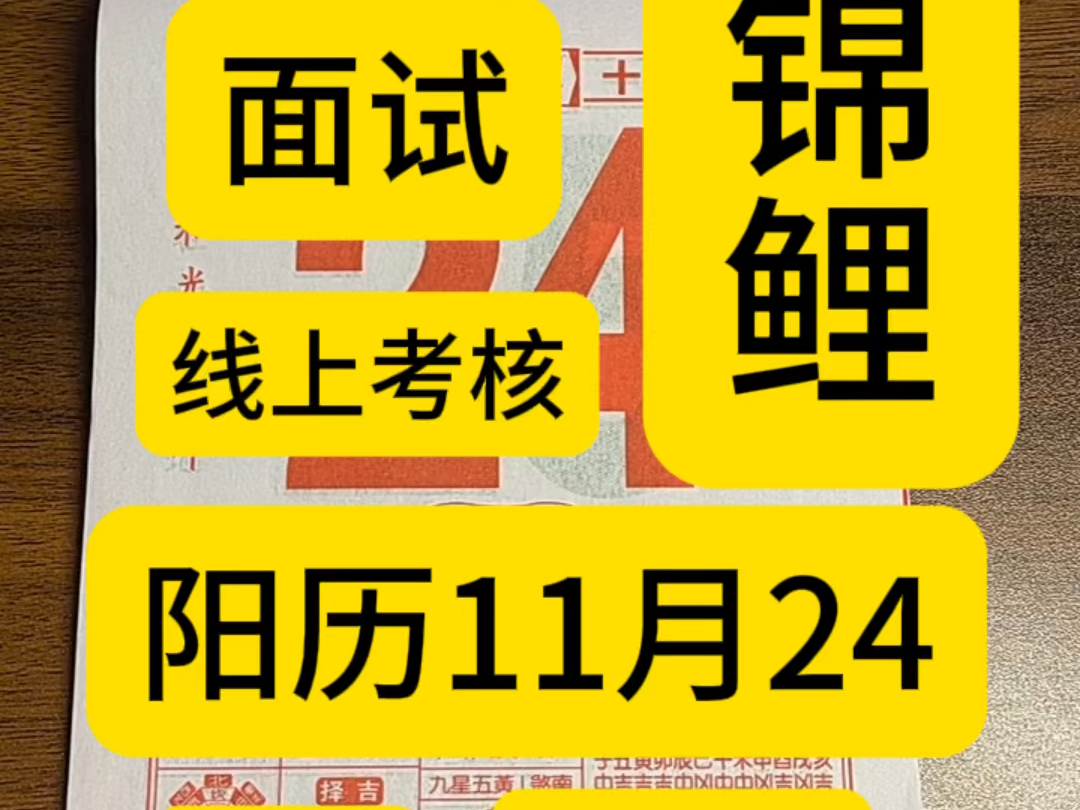 11月24日历,万年历,老黄历,黄道吉日.11月24号电子日历,11月24号电子黄历.11月24号生日快乐.专属年轻人的赛博生活指南哔哩哔哩bilibili