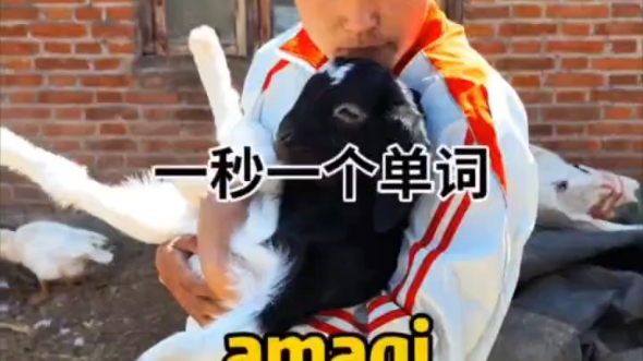 amagi究竟是什么意思哔哩哔哩bilibili