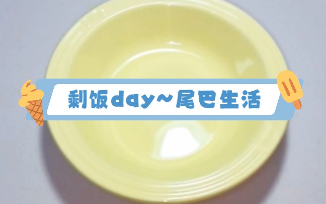 12.15~剩饭day尾巴生活哔哩哔哩bilibili