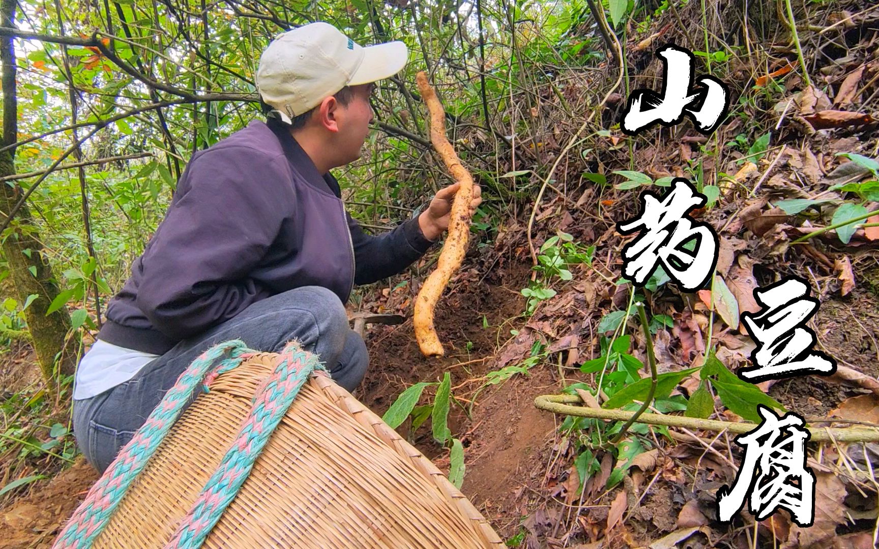 进山挖一背篓野生山药,磨成山药泥做成豆腐,味道比肉还香哔哩哔哩bilibili