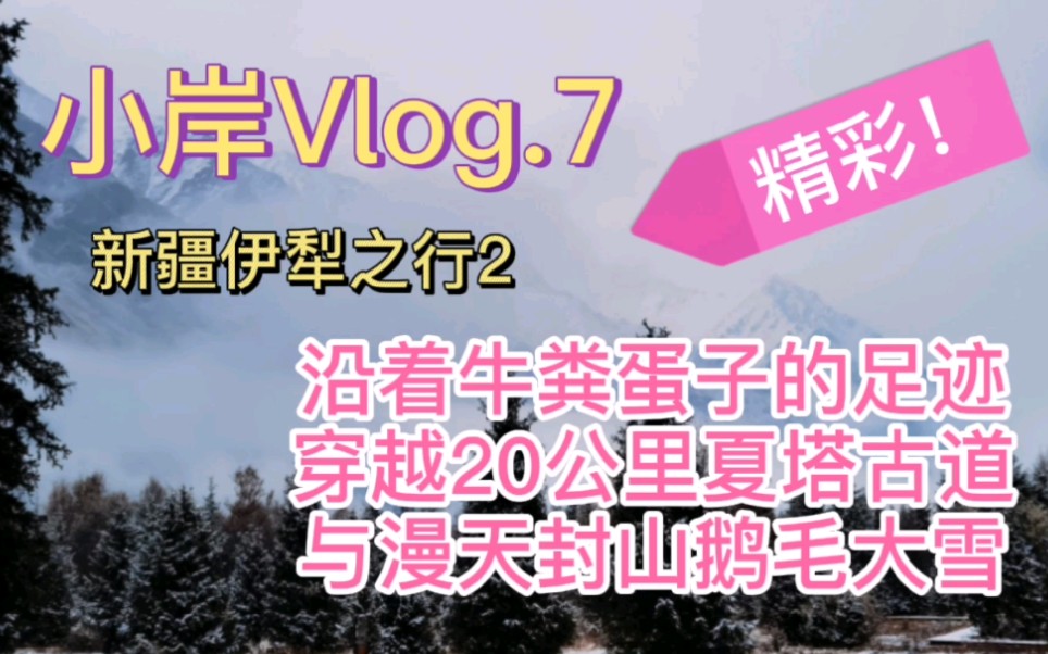 [图]小岸vlog.7-沿着牛粪蛋子的足迹，穿越漫山大雪的夏塔古道