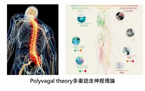 [图]楊定一：呼吸練習建立新的迴路，打破身心僵化的狀態，療癒創傷－呼吸，為了療癒QA（11）