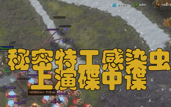 星际争霸2虫族教神族怎么使用自爆球