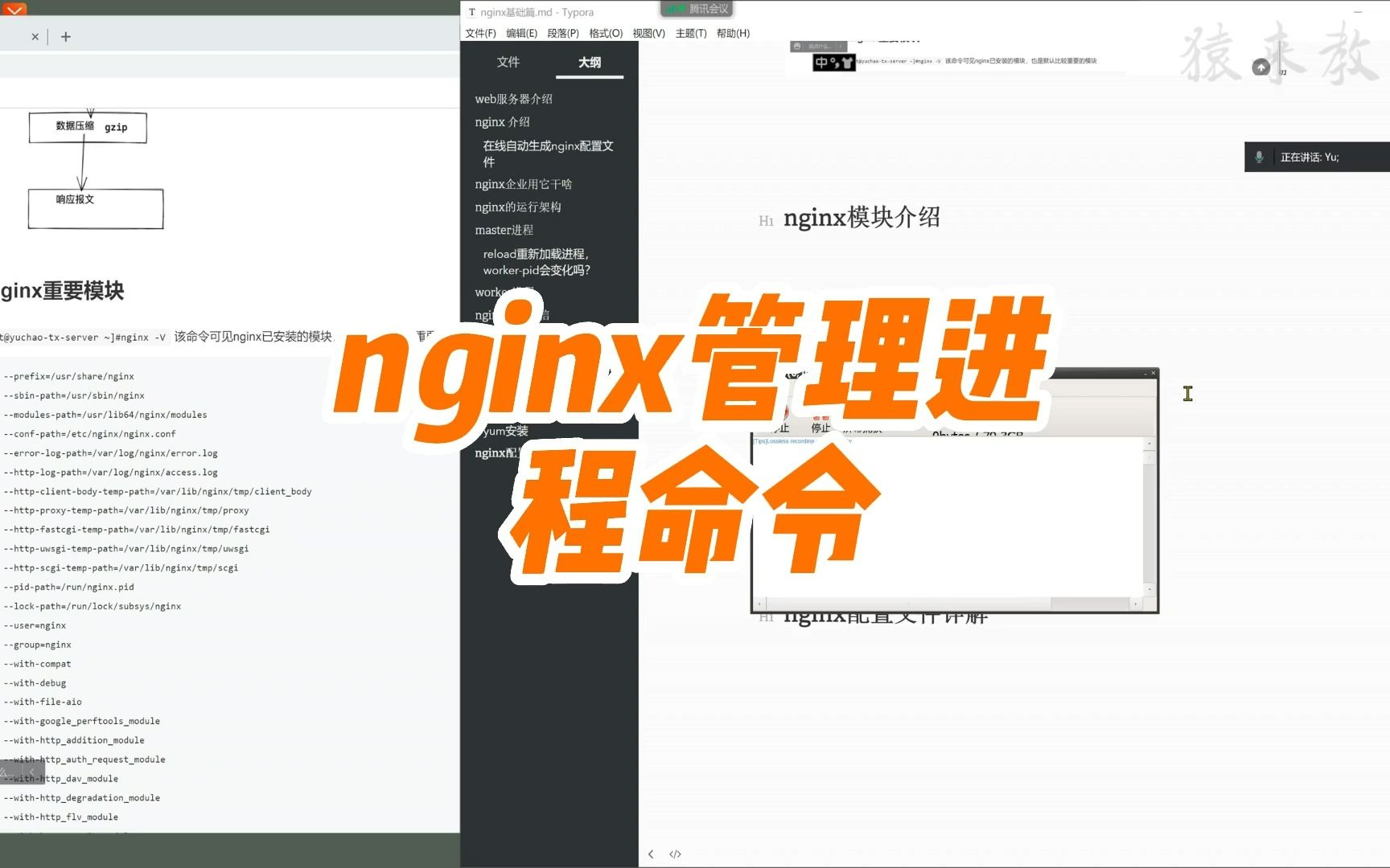 3.nginx管理进程命令哔哩哔哩bilibili