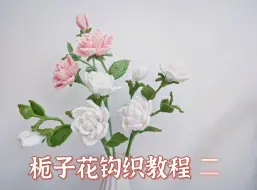 Download Video: 栀子花钩织教程二：第一层第二花瓣部分，阿富汗针法一体钩织栀子花