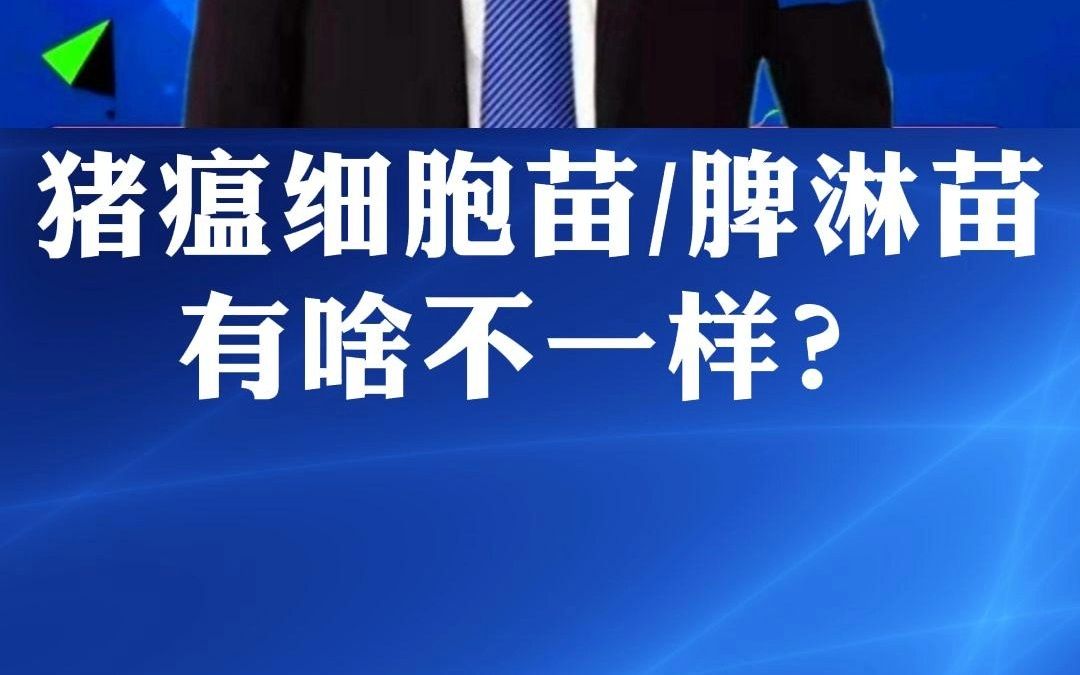 为什么猪瘟常规免疫建议用细胞苗,紧急接种建议用脾淋苗?哔哩哔哩bilibili