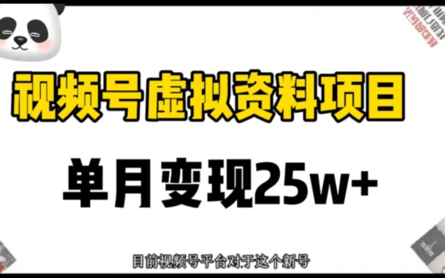 视频号虚拟资料项目,单月变现25w+哔哩哔哩bilibili