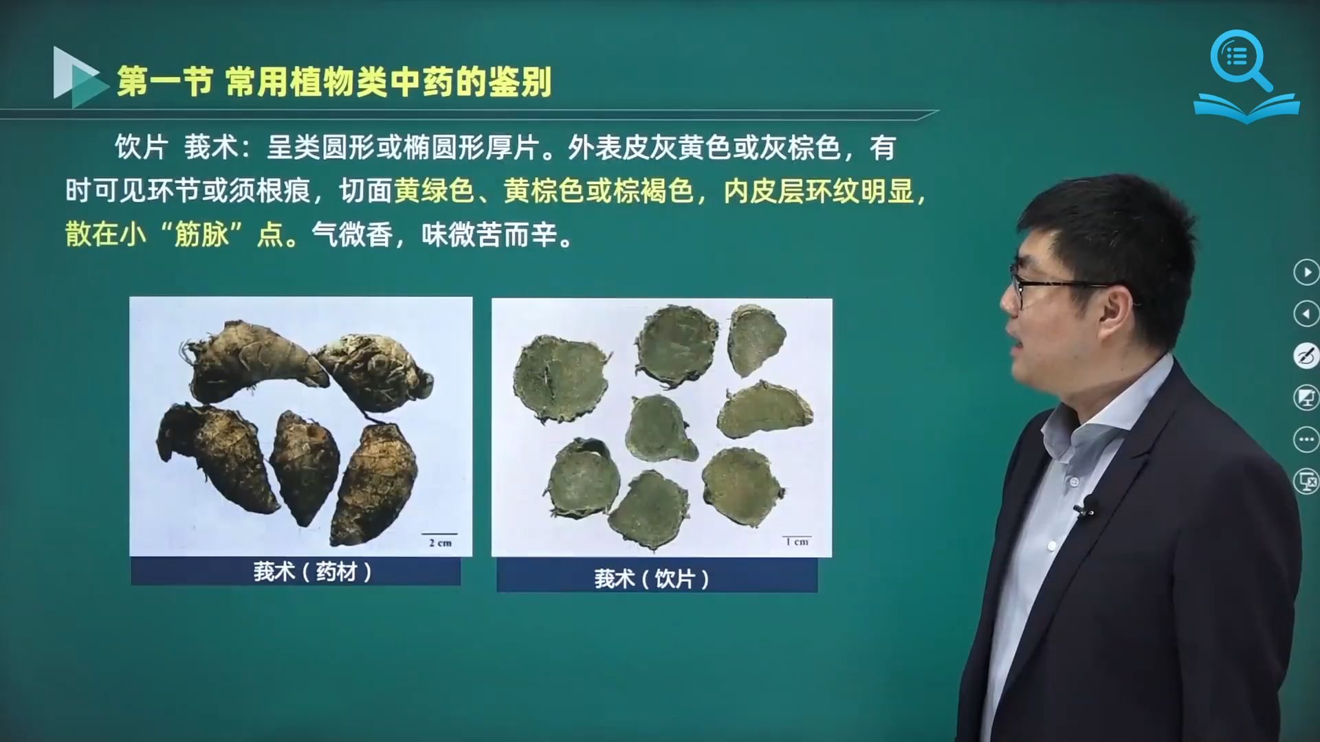 常用植物类中药鉴别——郁金哔哩哔哩bilibili