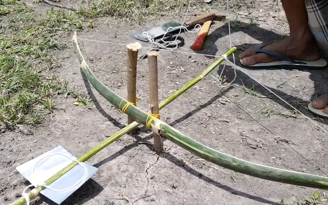 如何使用竹弓制作diy捕鸟器 