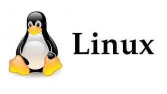 【编程不良人】Linux实战教程之入门到精通