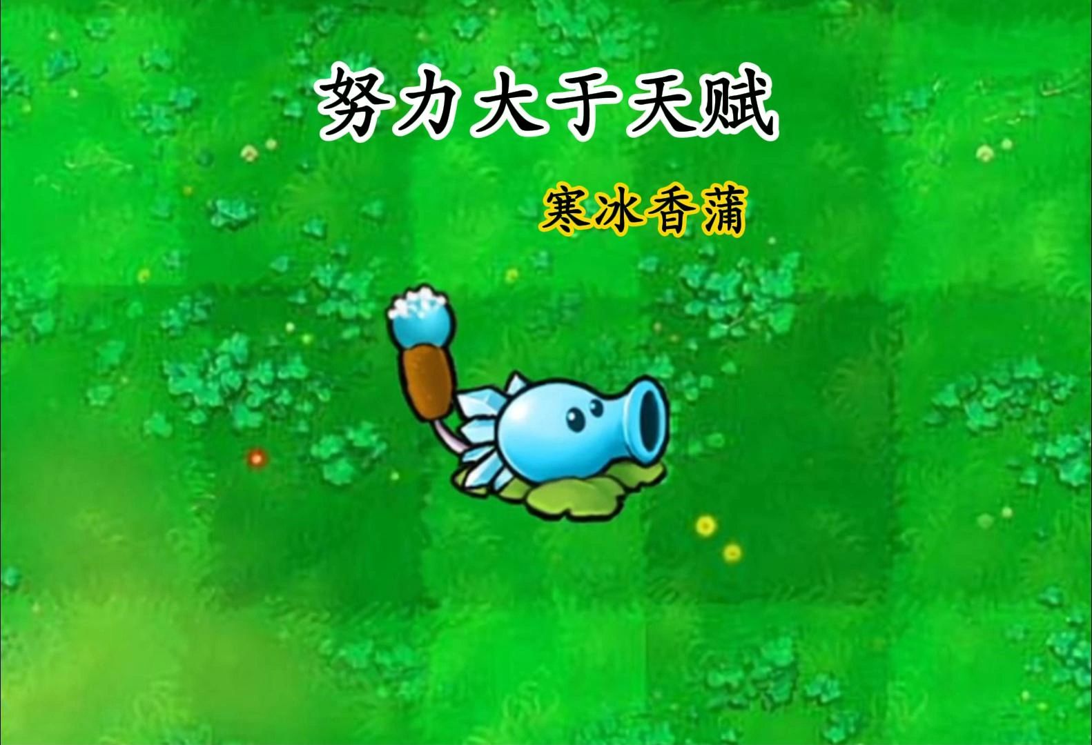 只要努力你也可以很强,寒冰香蒲