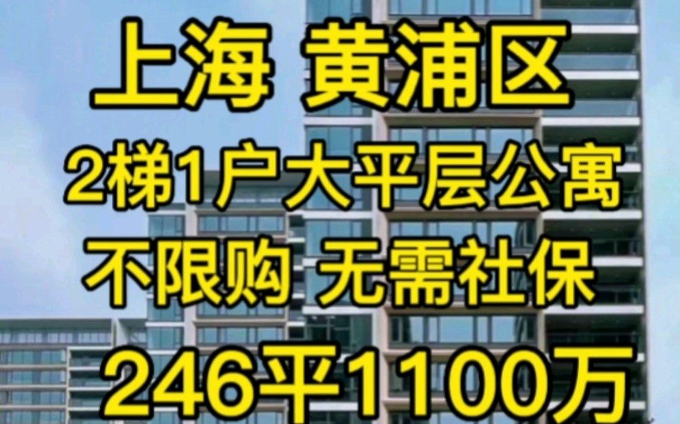 上海黄浦区斜土东路246平大平层公寓‖不限购 通燃气 全屋地暖‖售价1100万起哔哩哔哩bilibili