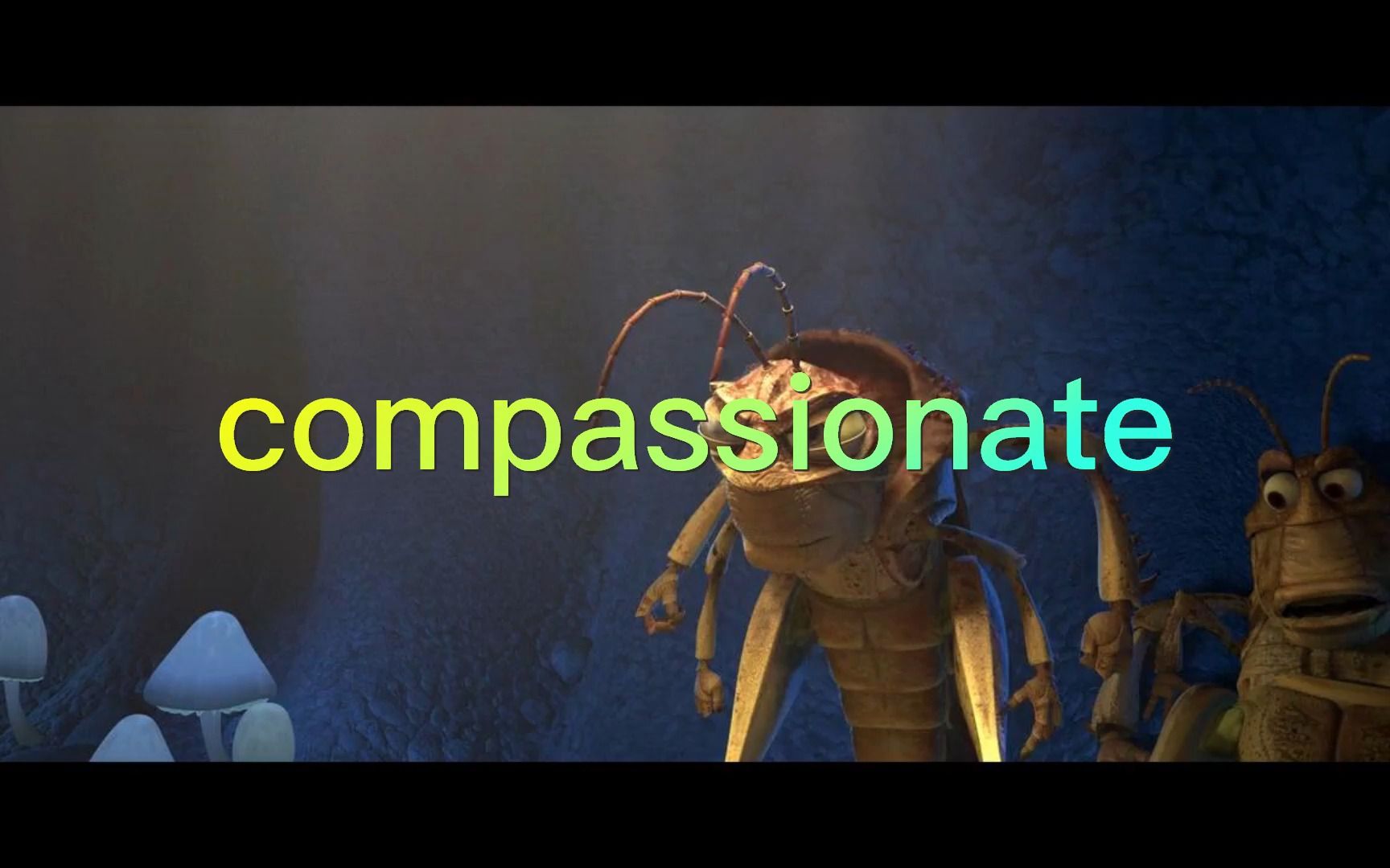 单词compassionate哔哩哔哩bilibili