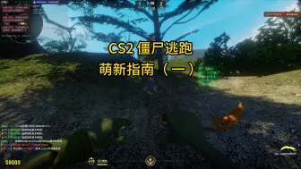 Скачать видео: 【菜鸟诚CS2僵尸逃跑萌新指南（ 一 ）】