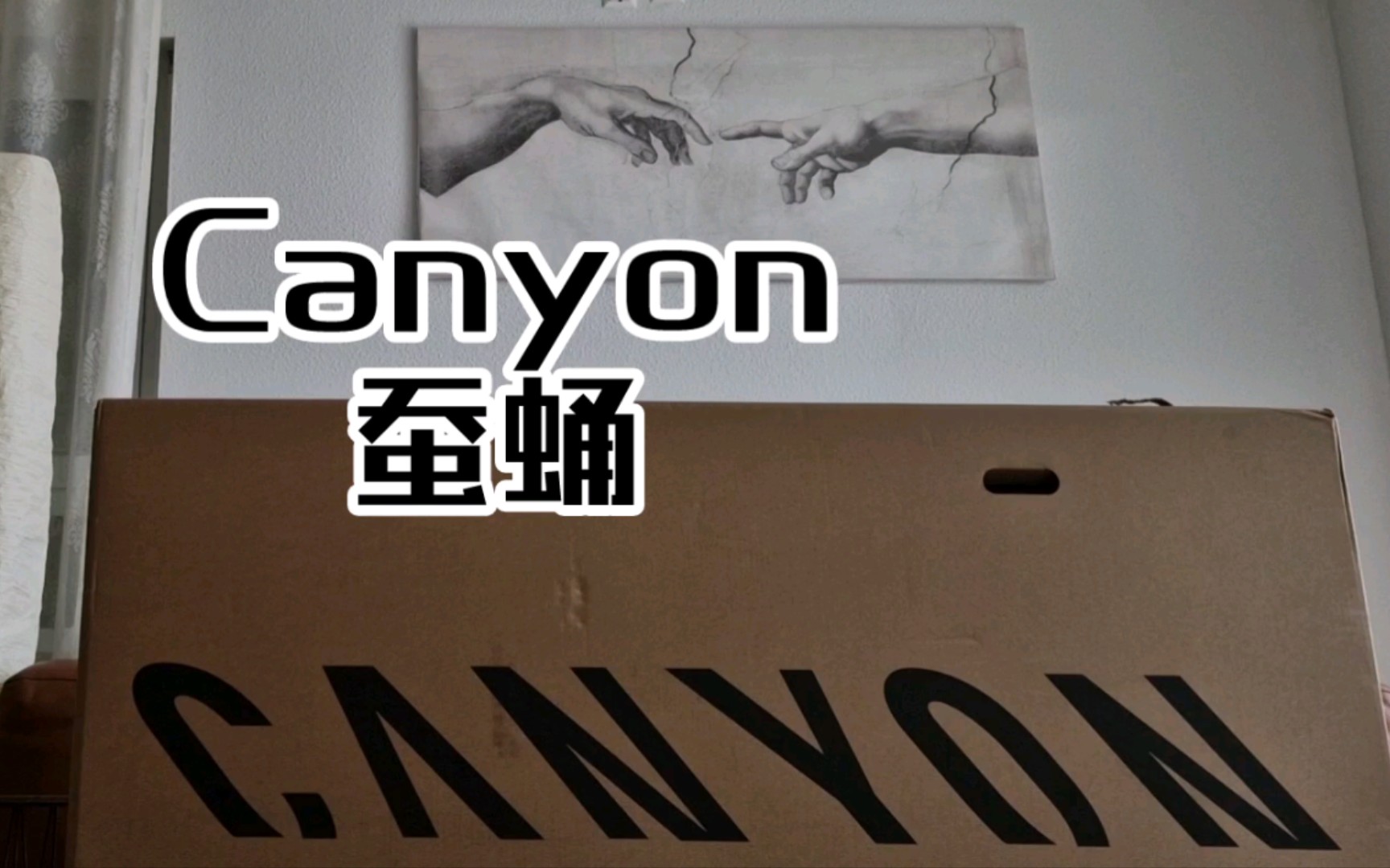 Canyon Areo蚕蛹公路车开箱哔哩哔哩bilibili