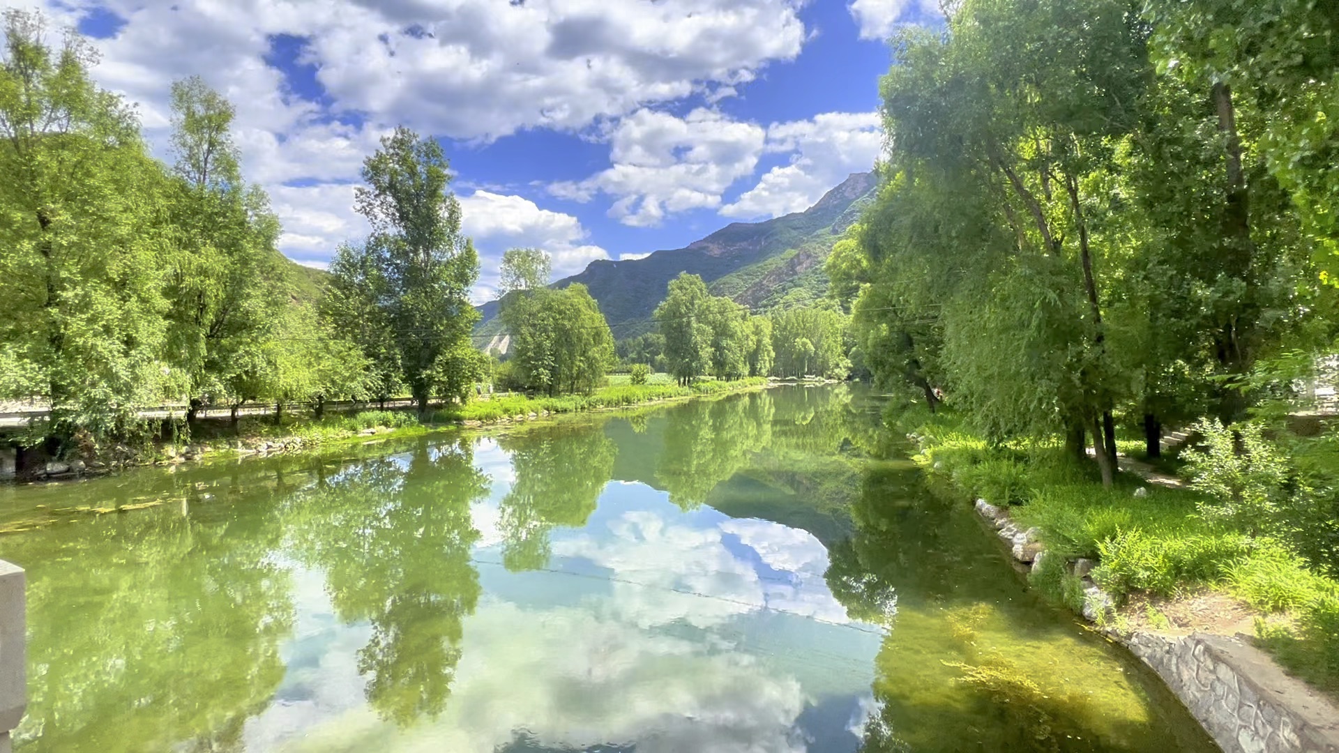 仿佛进入了宫崎骏的世界 夏天的百里画廊