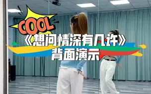 Download Video: 《想问情深有几许》背面演示